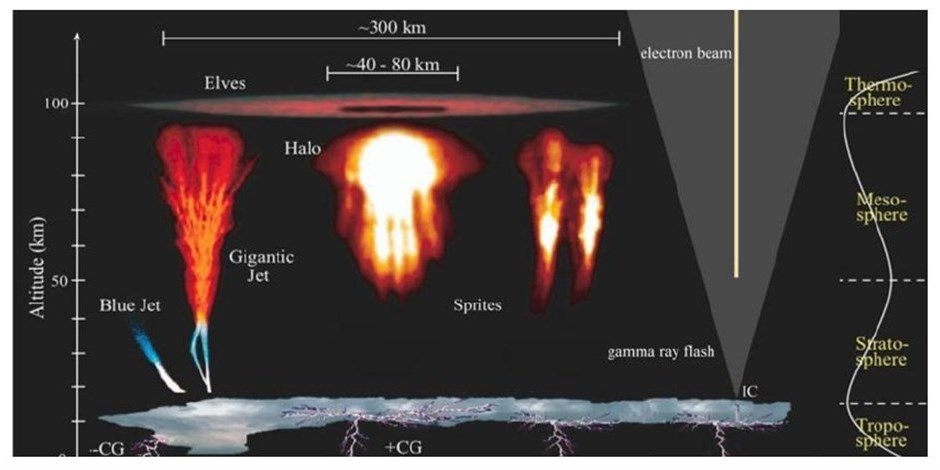 Different kinds of electrical discharge observed in the upper atmosphere