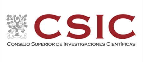 CSIC logo in 440X400 f0ormat